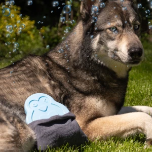 CoolPets Cooling Ice Penguin - Afbeelding 6