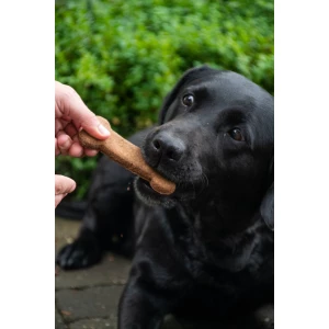 Bugbone Medium - Afbeelding 4