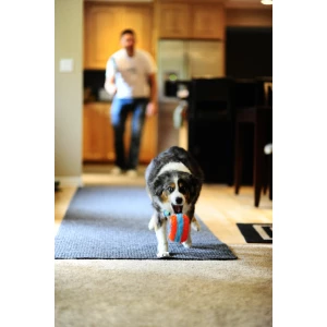 Chuckit! Indoor Roller - Afbeelding 3