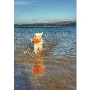 Chuckit! Amphibious Bumper S - Afbeelding 5