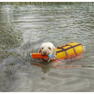 Chuckit! Amphibious Bumper S - Afbeelding 4