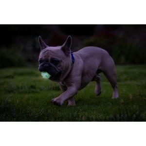Chuckit! Air Glow Fetch Ball S (2-pack) - Afbeelding 4