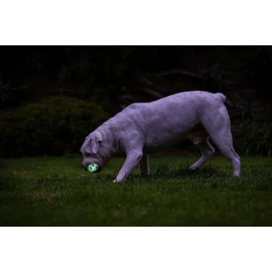 Chuckit! Air Glow Fetch Ball M (2-pack) - Afbeelding 6