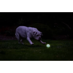 Chuckit! Air Glow Fetch Ball M - Afbeelding 5