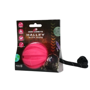 Dog Comets Halley Met Touw Roze