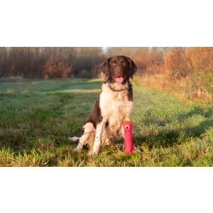 Dog Comets Invaders Oranje M - Afbeelding 3