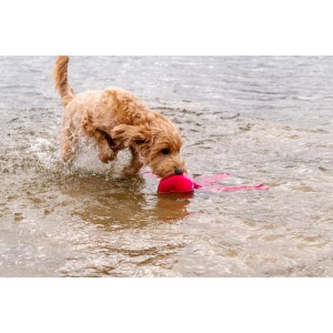 Dog Comets Alien Octo M Roze - Afbeelding 3