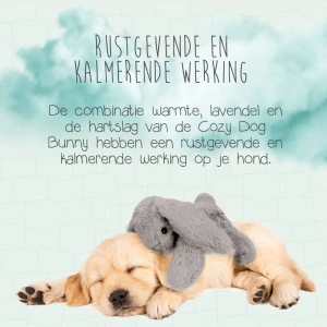 Cozy Dog Bunny Grijs - Afbeelding 3