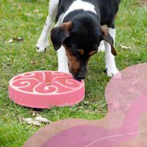 Eat Slow Live Longer Original Roze S - Afbeelding 3