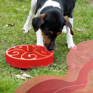 Eat Slow Live Longer Original Rood L - Afbeelding 3