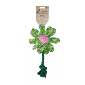 Garden Paws Flower Summer Shrubs S