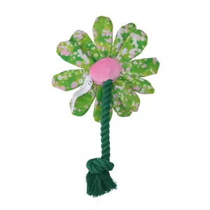 Garden Paws Flower Summer Shrubs S - Afbeelding 3