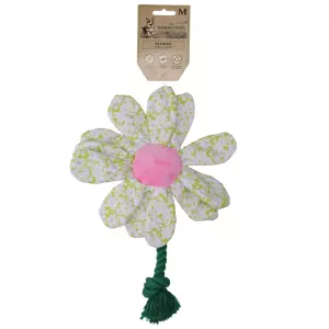 Garden Paws Flower Spring Sakura M