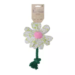 Garden Paws Flower Spring Sakura S