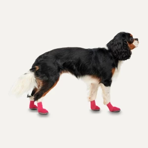 Goo-eez Dog Boots Lites 4 Per Pack L Rood/Zwart - Afbeelding 2