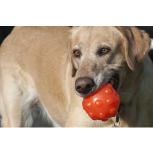 Jolly Jumper Oranje S (7,6 cm) - Afbeelding 5