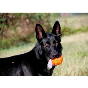 Jolly Jumper Oranje S (7,6 cm) - Afbeelding 3