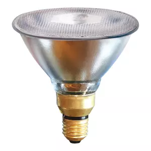 Spaarlamp 100 W – Wit