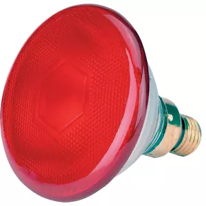 Spaarlamp 175 W – Rood
