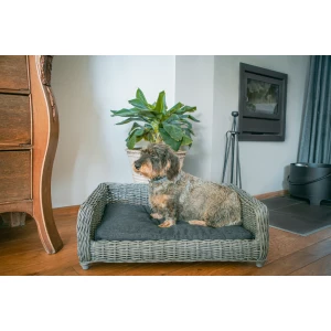 Let's Sleep Cozy Basket Rieten Hondenmand L Antraciet - Afbeelding 2