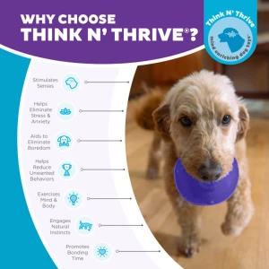 Outward Hound Orbee-Tuff Snoop M Paars - Afbeelding 5