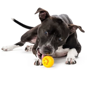 Outward Hound Orbee-Tuff Nooks Geel - Afbeelding 2