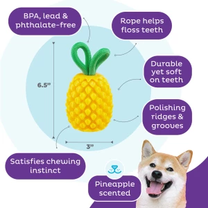 Outward Hound Dental Pineapple - Afbeelding 5