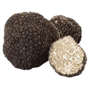 SwissCowers Cheese Bars Truffle L - Afbeelding 4