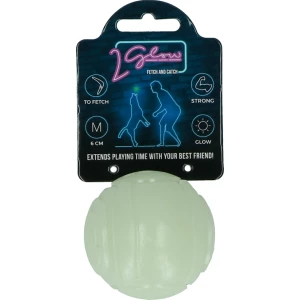 2 Glow Fetch & Play
