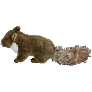 Wild Life Dog Marter