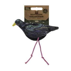 Wild Life Cat Spreeuw