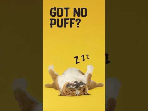 Excellent Pets Multi-Vit Soft Chews 60 Treats - Afbeelding 2