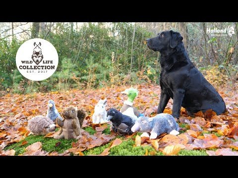 Wild Life Dog Raaf - Afbeelding 4